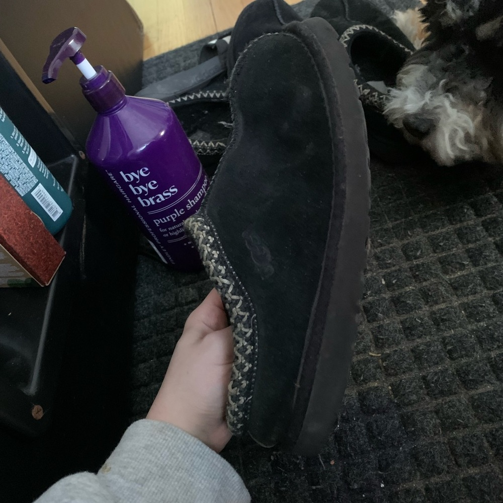 tasman uggs